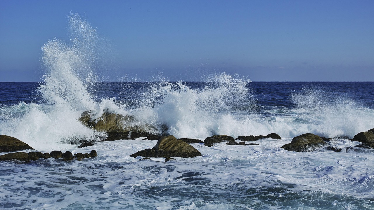 Waves, east sea, breaking waves — Advantages Of Distance Education In Basic Training