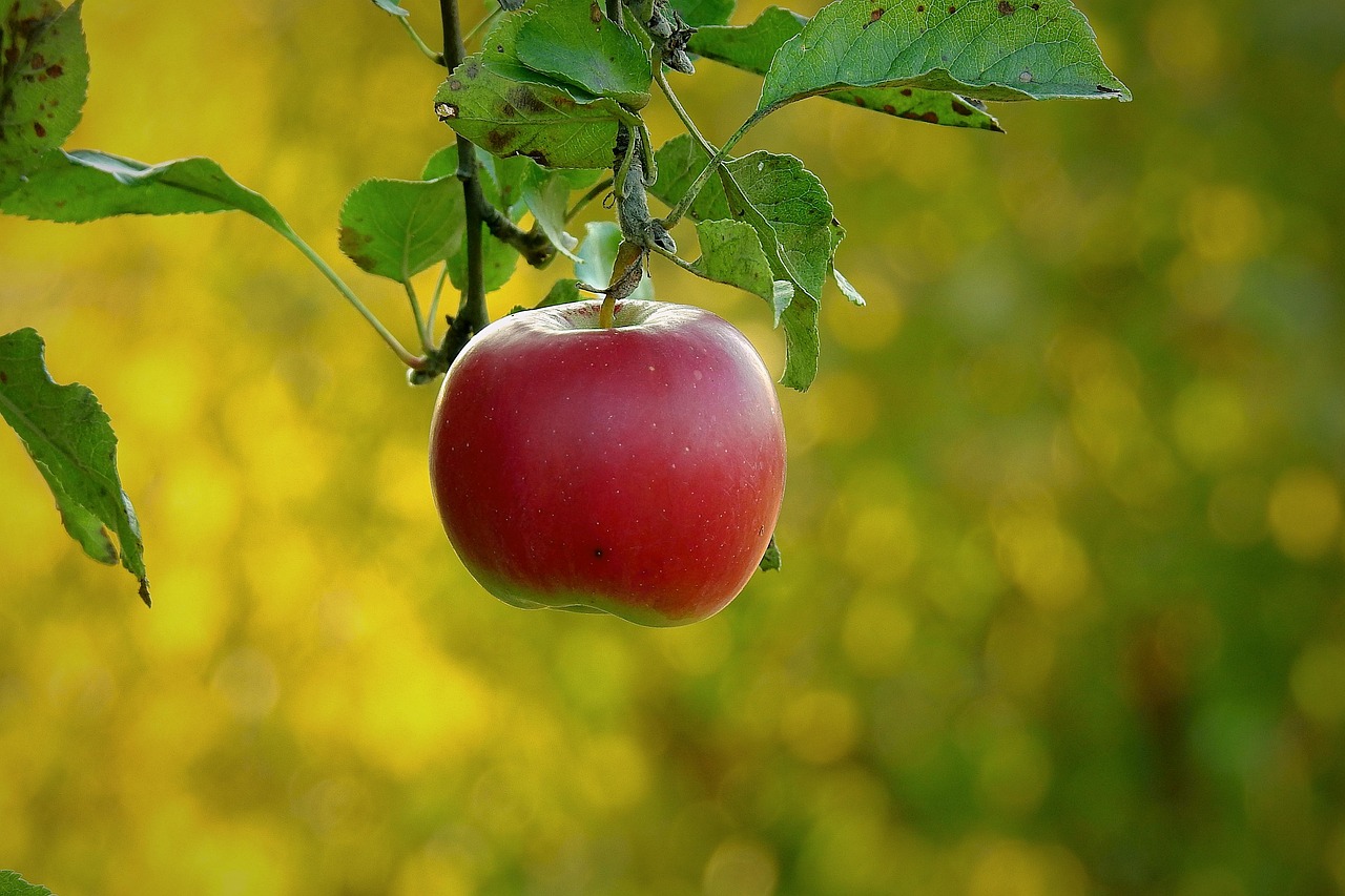 Apple, paradise fruit, health — Do Peptides Have Anti-aging Benefits?
