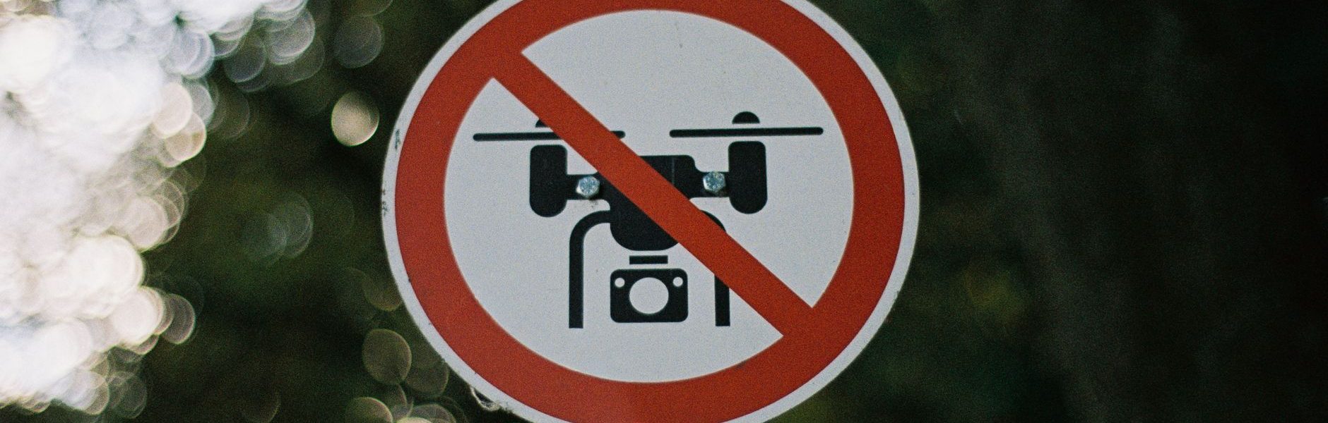 ban artificial superintelligence