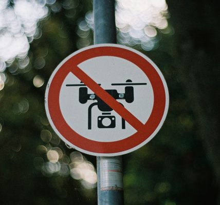 ban artificial superintelligence