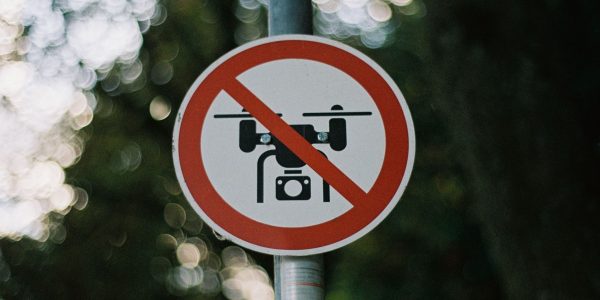 ban artificial superintelligence