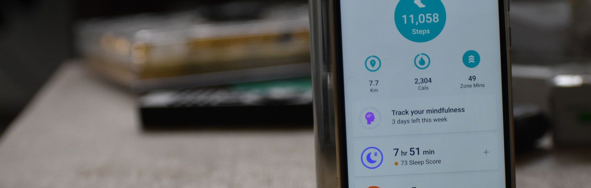 Google Fitbit Air