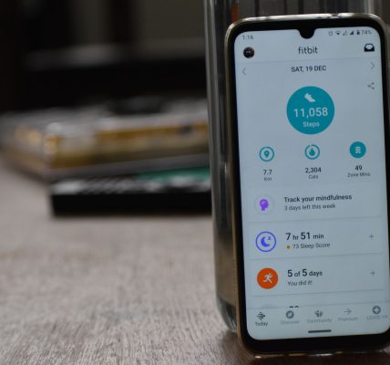 Google Fitbit Air