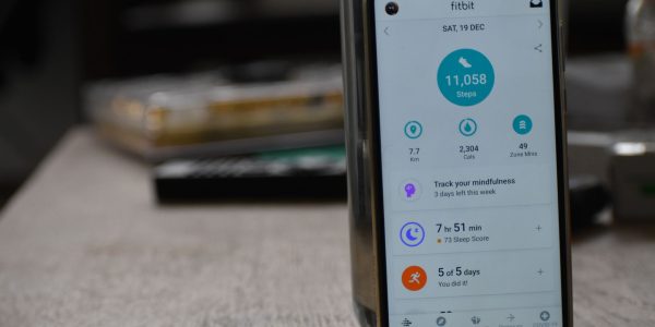 Google Fitbit Air