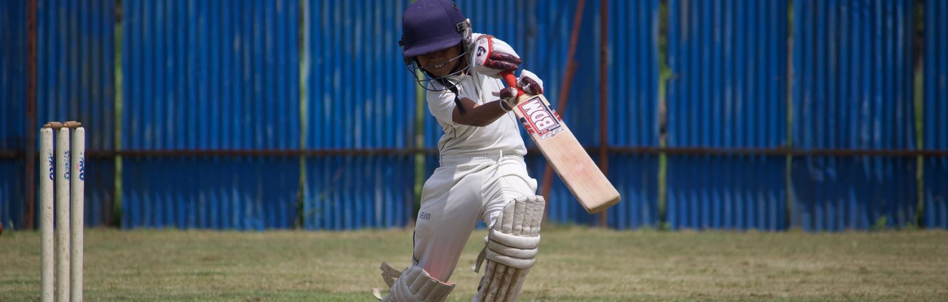 Don Bradman Cricket Jr