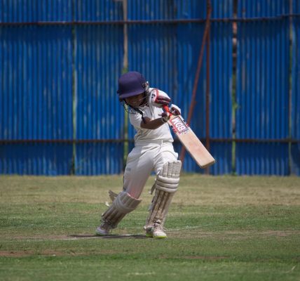 Don Bradman Cricket Jr