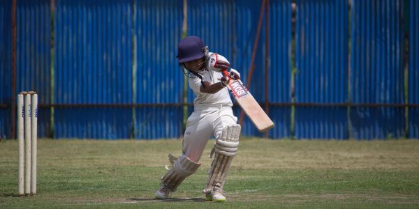 Don Bradman Cricket Jr