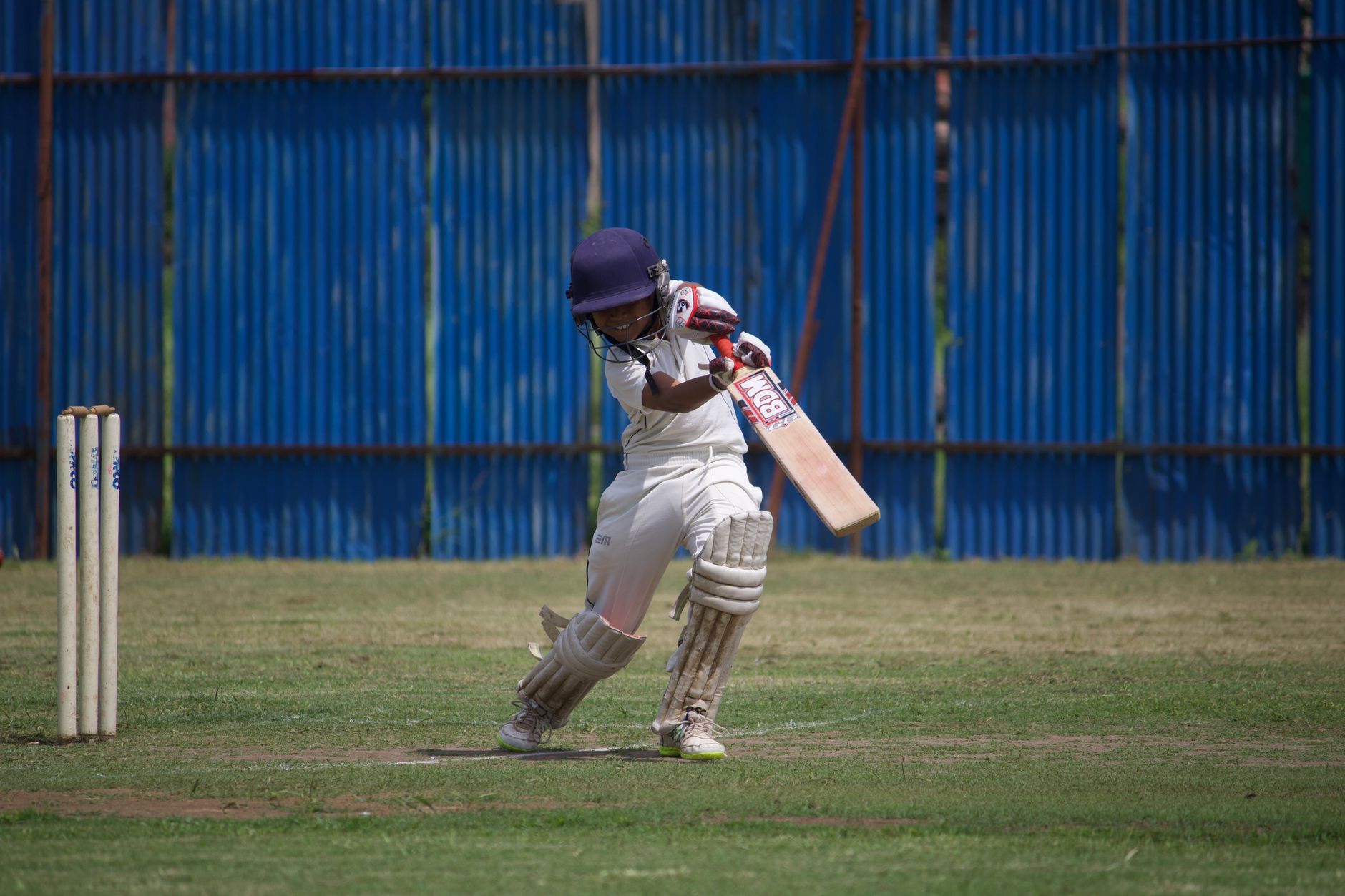 Don Bradman Cricket Jr
