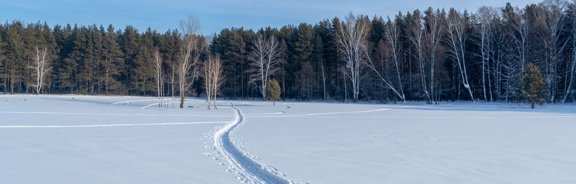 FROZEN TRAIL update