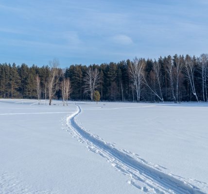 FROZEN TRAIL update