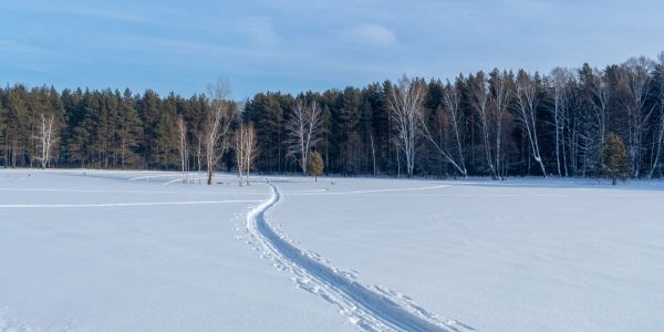 FROZEN TRAIL update