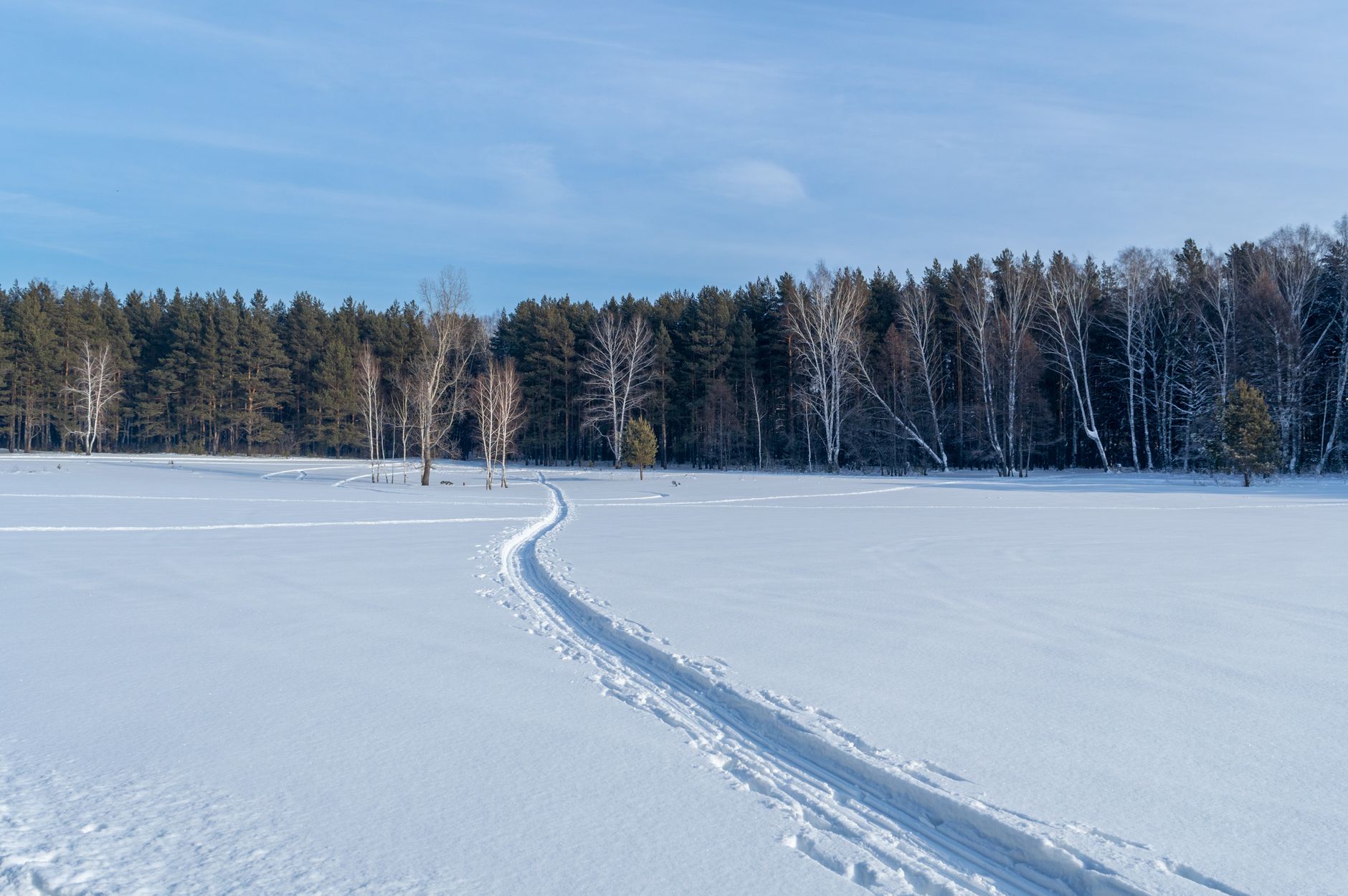 FROZEN TRAIL update